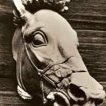 museo - testa di cavallo in terracotta V sec. a.c.